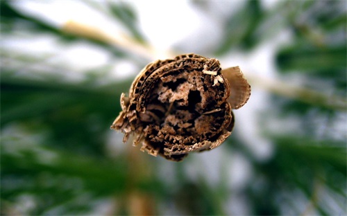 如何管理一个车间,六大管理措施助企业提升管理水平
