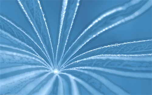 职业高中招生网官网，如何上云南普高招考网