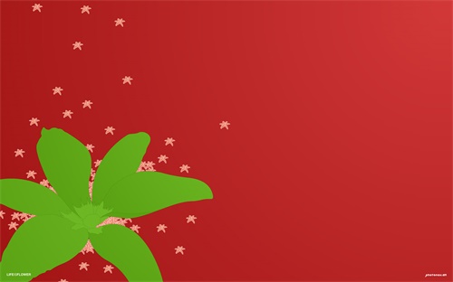 职业中专学校毕业证查询